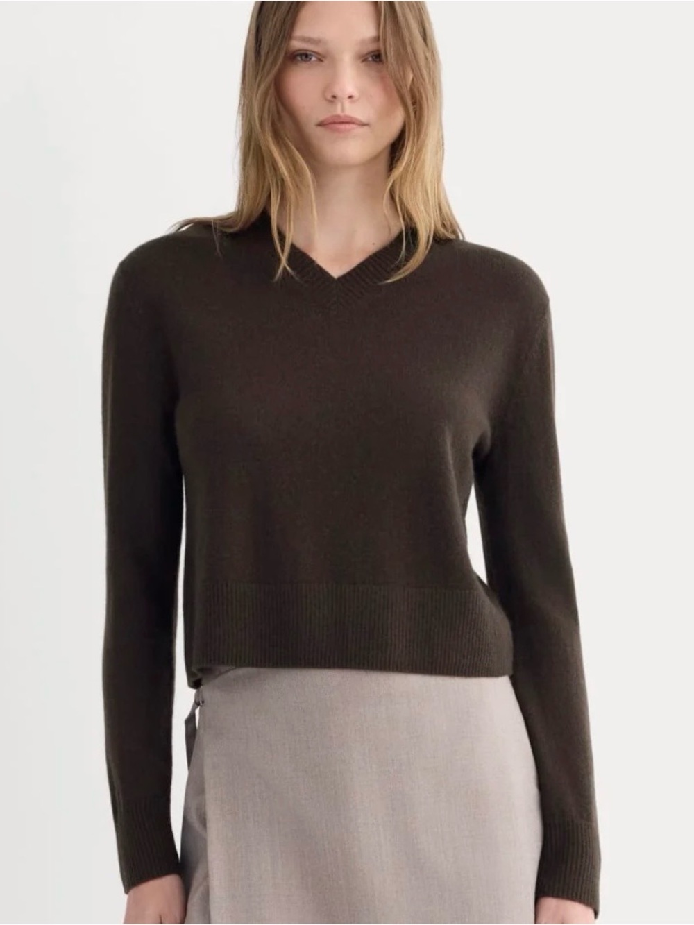 Everlane Cashmere Cropped High V Sweater